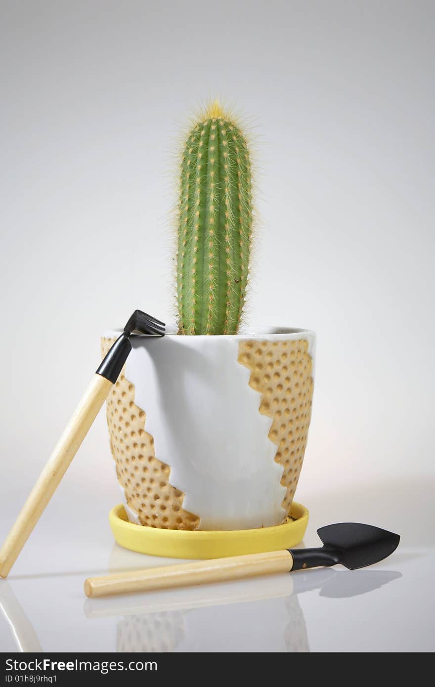 Cactus and Hand Gardening Tools