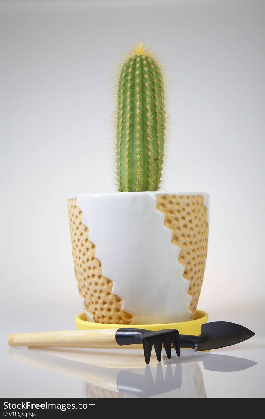 Potted Cactus and Hand Gardening Tools: rake and shovel