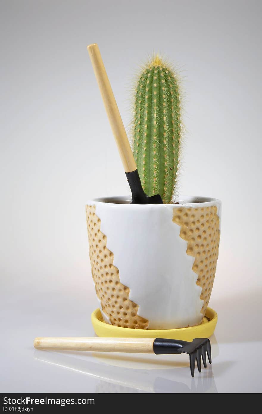 Potted Cactus and Hand Gardening Tools: rake and shovel