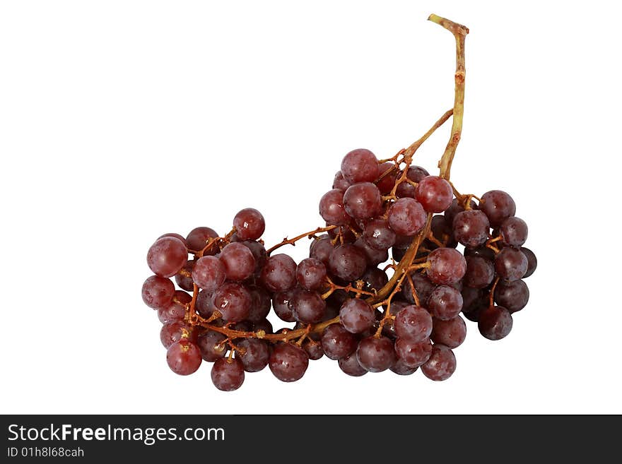 Bunch of grapes