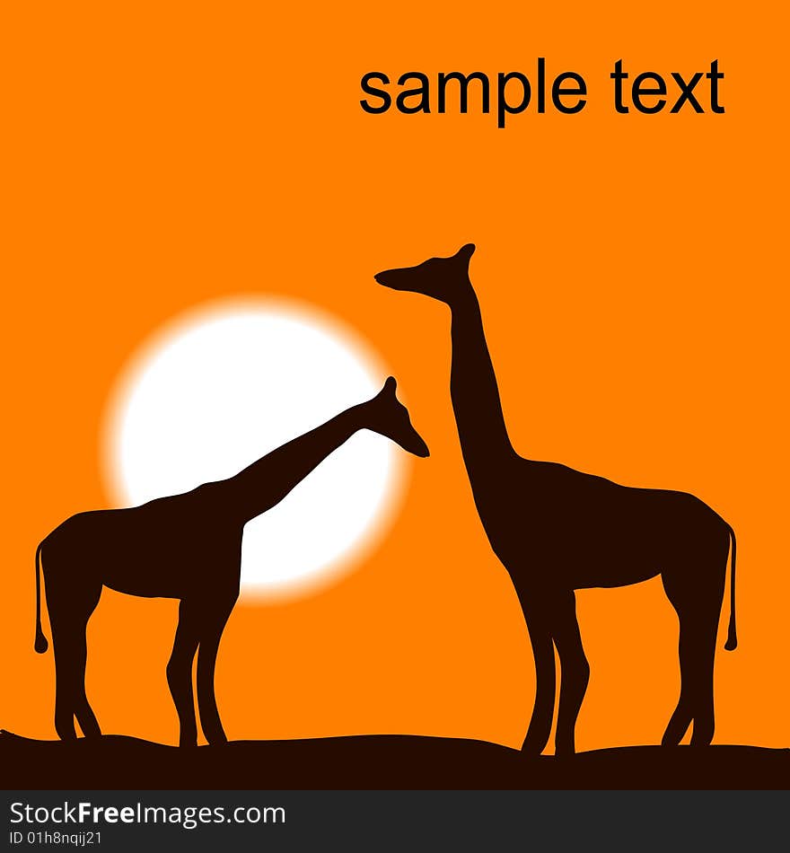 Giraffs