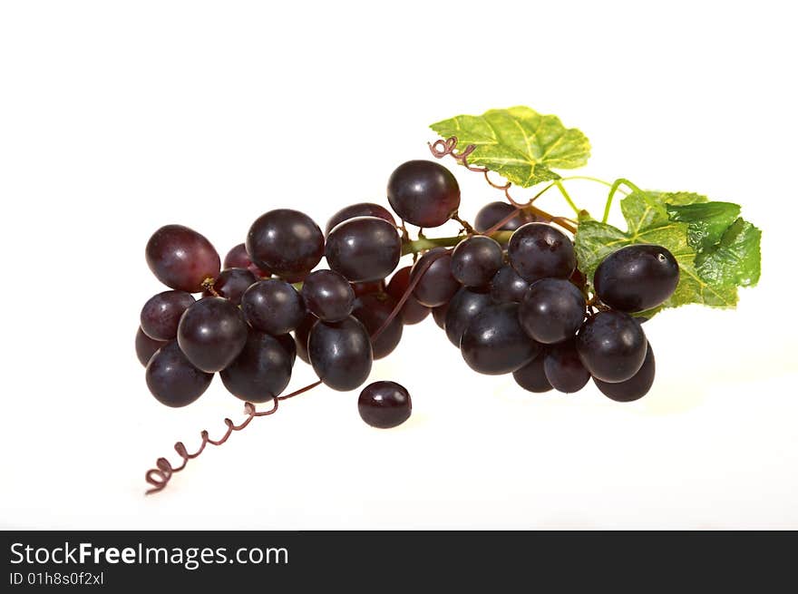 Fresh blue grape cluster with leaves, isolated on white background