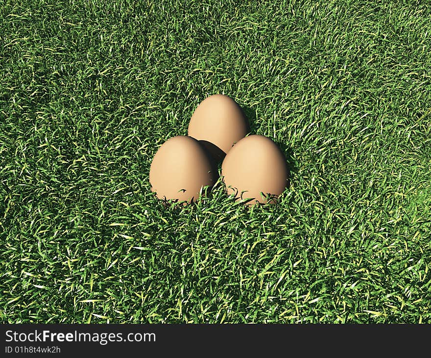 Eggs in the grass