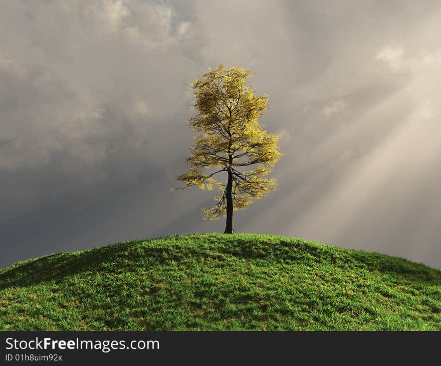 Tree on a hill in autumn lit by sunrays