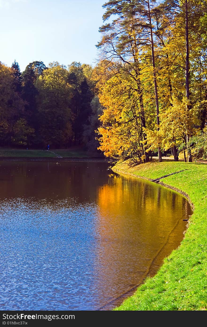 Maples trees in autumn, Tsaritsino park, Moscow. Maples trees in autumn, Tsaritsino park, Moscow