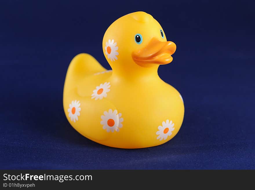 Yellow duck on blue background