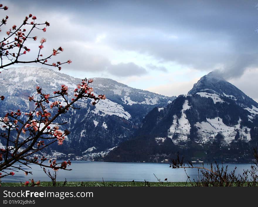 Lake and spring Alps