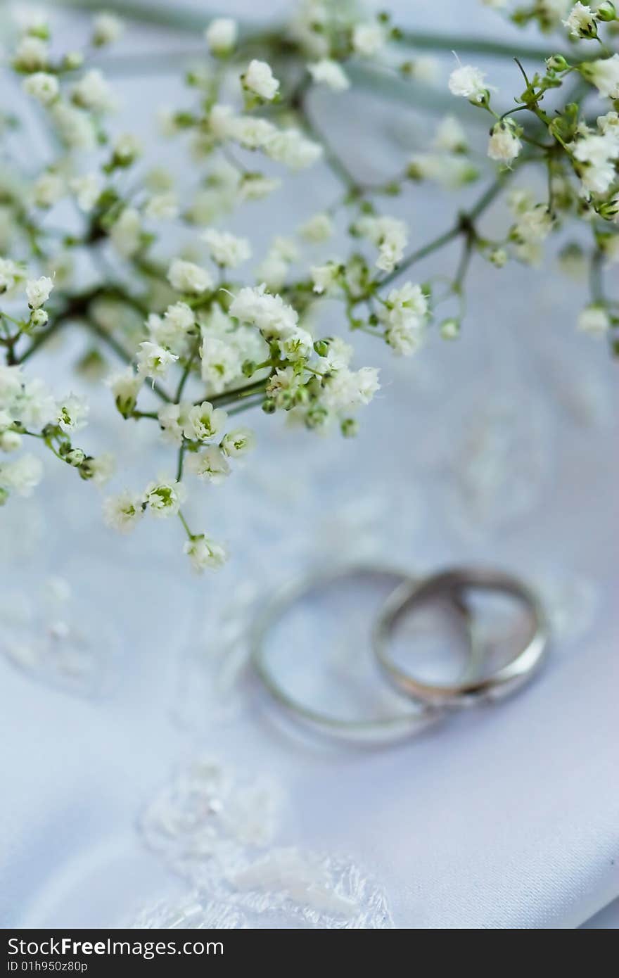 Weddings rings on the background and gipsophila in focus. Weddings rings on the background and gipsophila in focus