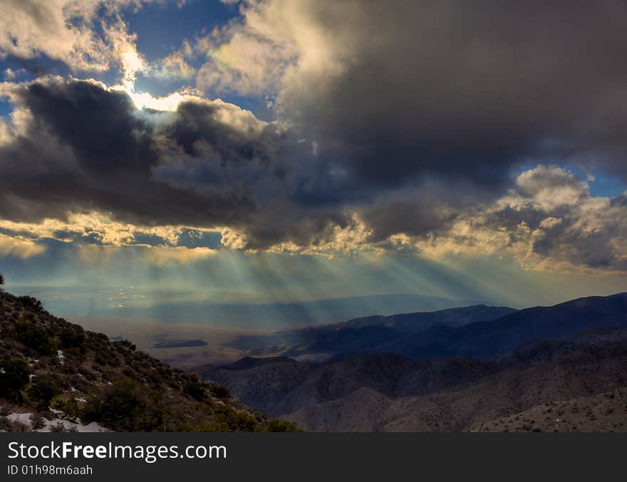 A Storm Coming Over Joshua Trees