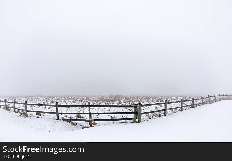 Foggy meadow