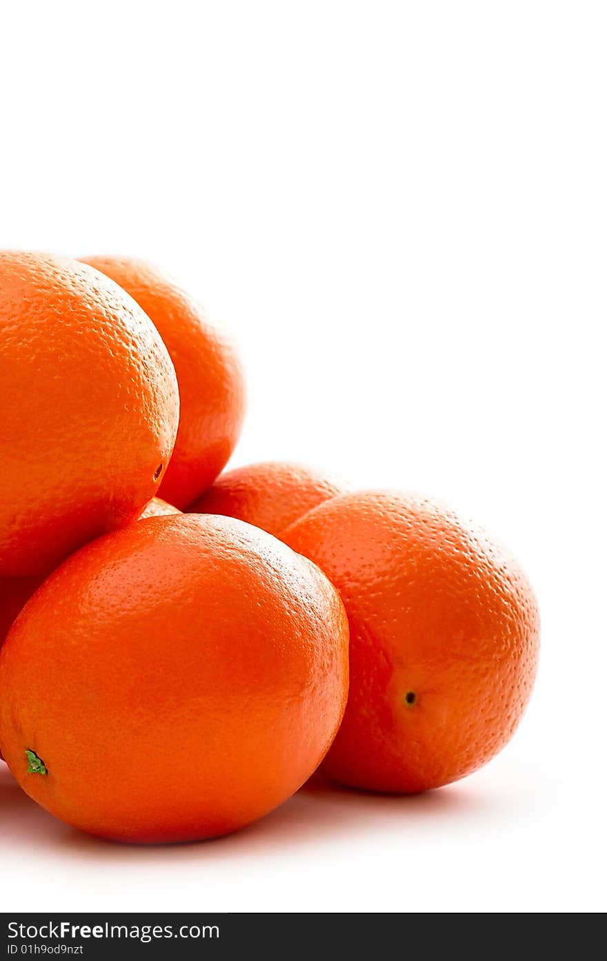 Group of fresh oranges on white background. Group of fresh oranges on white background