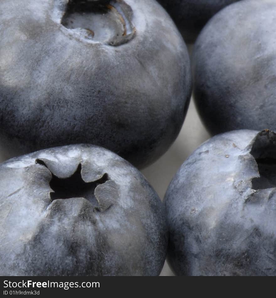 Extreme macro photo of four blueberries. Extreme macro photo of four blueberries