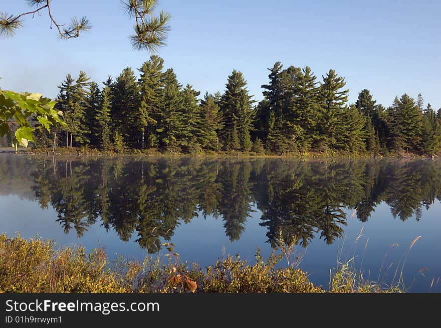 Forest lake in Killarney Park in the morning