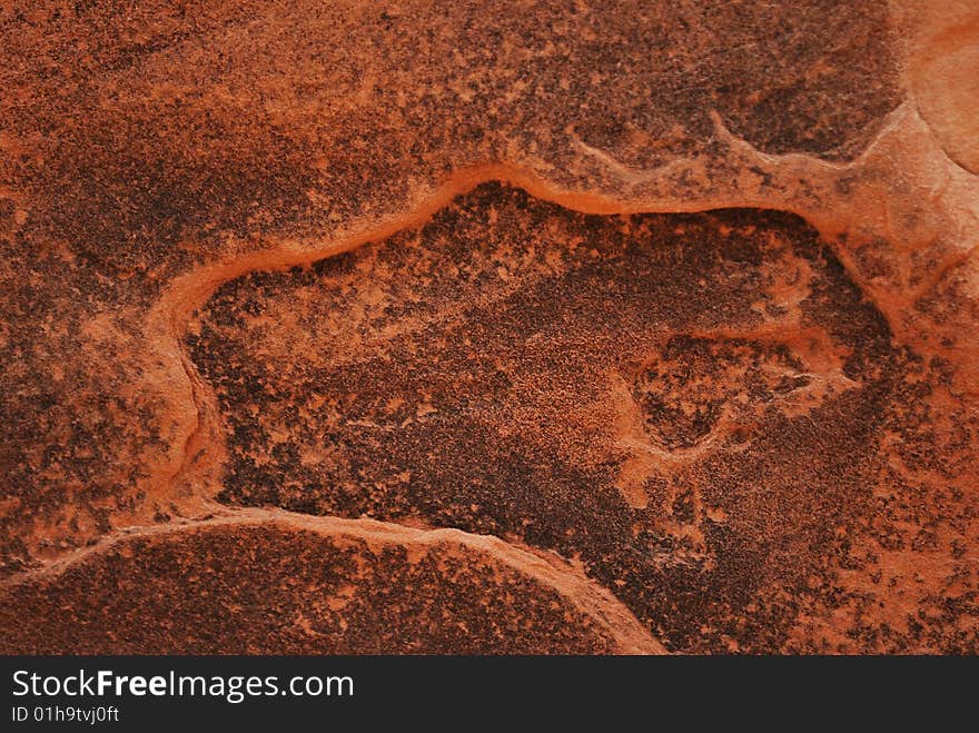 A close-up of eroded entrada sandstone texture