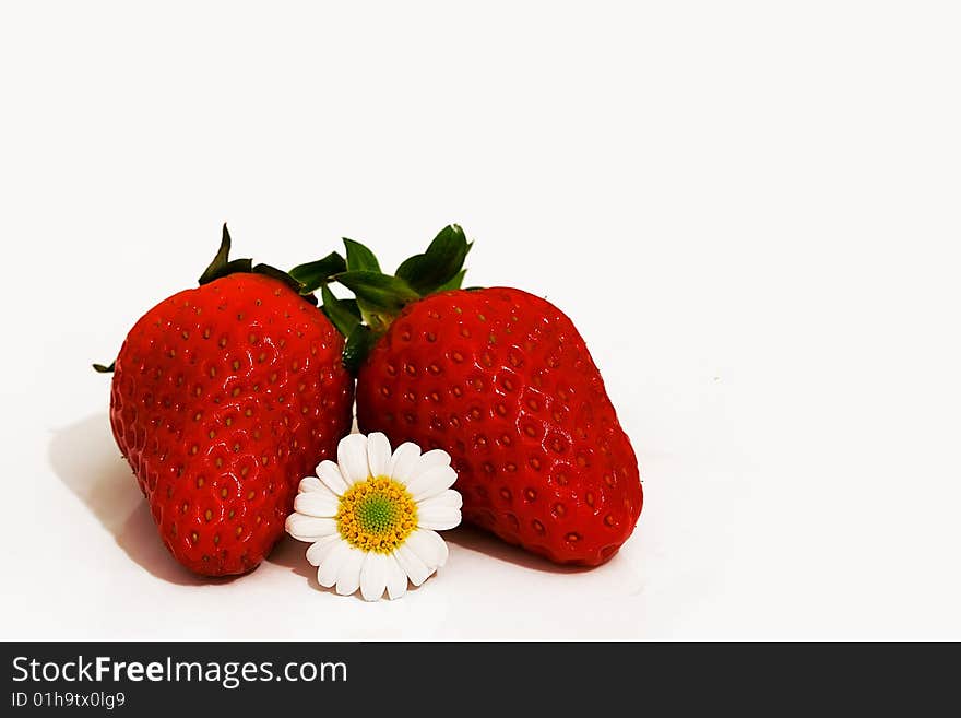 Strawbarry with camomile on a white background. Strawbarry with camomile on a white background