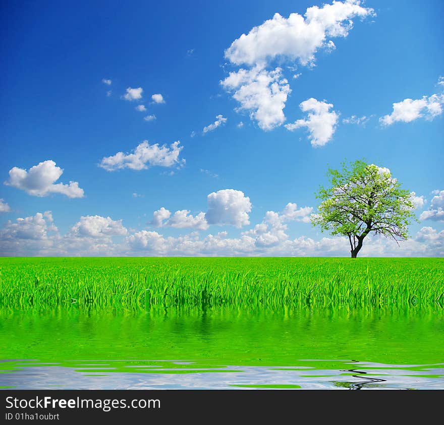 Field on a background of the blue sky