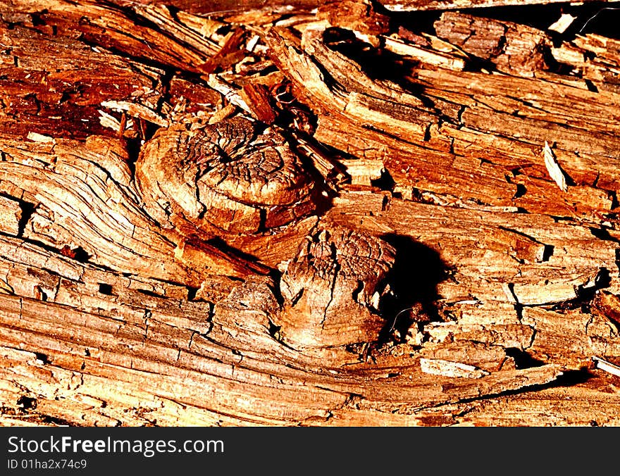 Shot of old decaying wood, it's grain and texture with the center wood knotted. Shot of old decaying wood, it's grain and texture with the center wood knotted