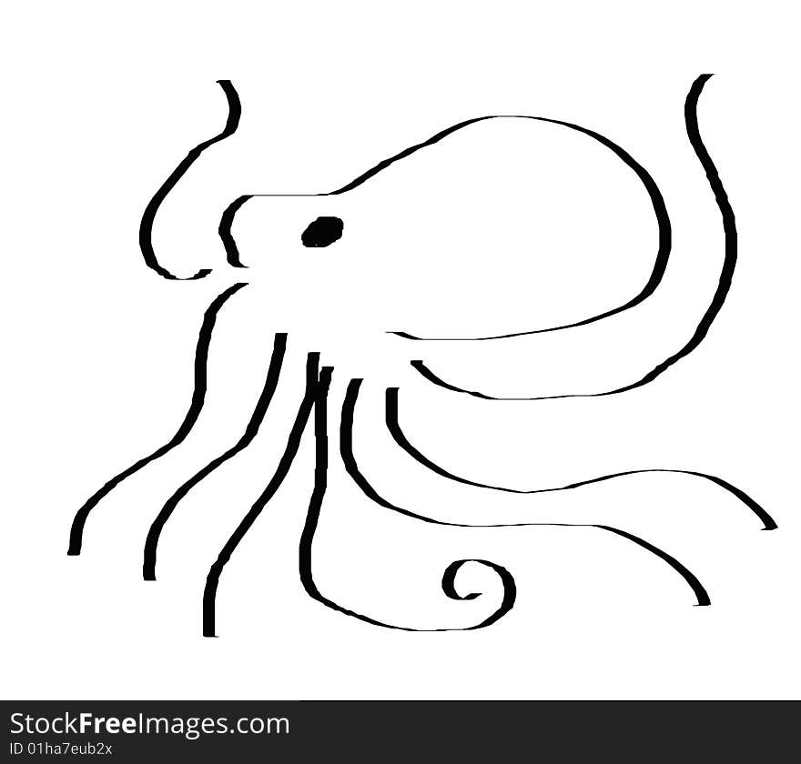 Octopus Illustration