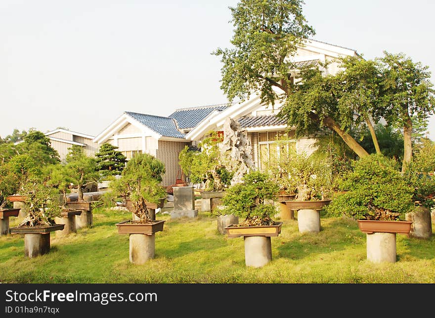 The villa with a garden