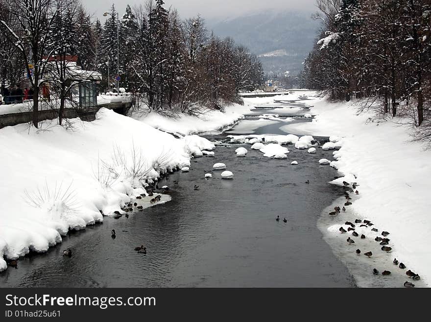 Winter river