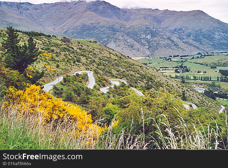 Landscape Of New Zealand