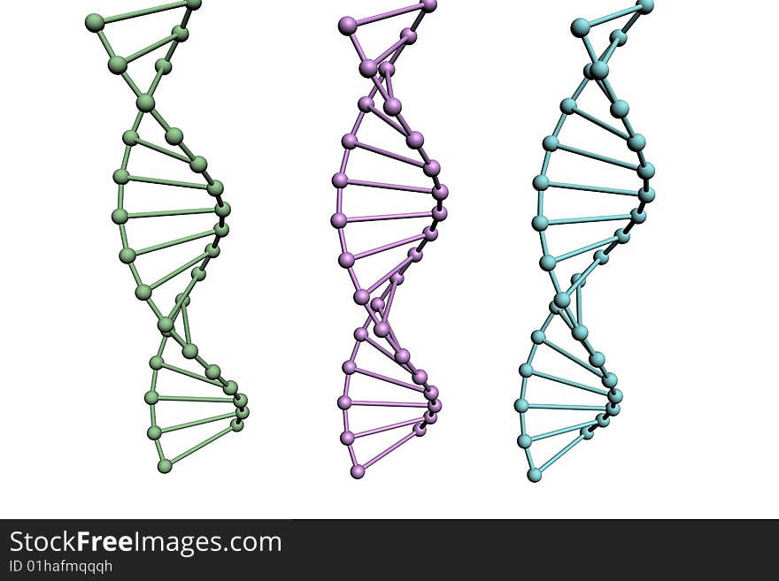 3D model of DNA structure