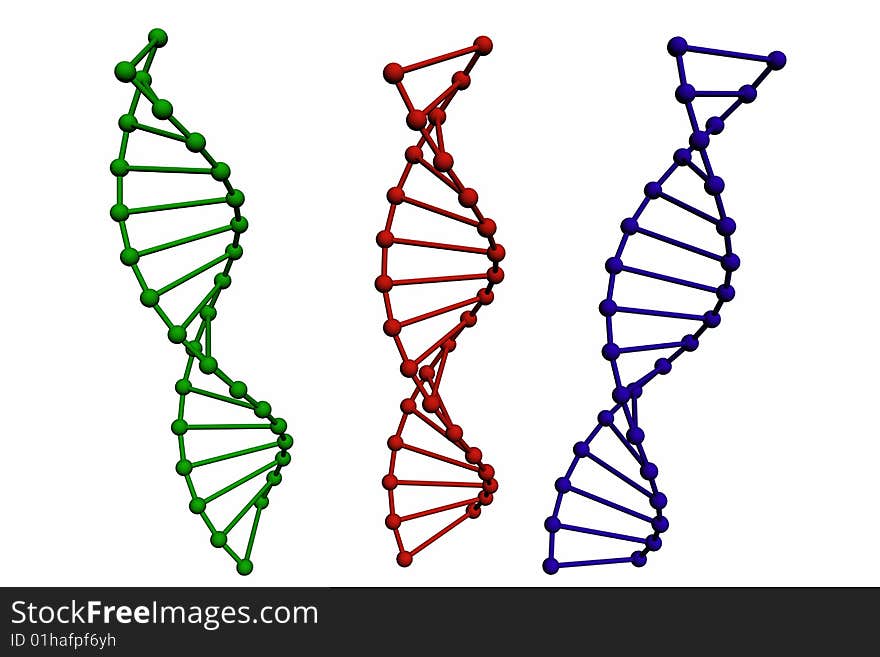 3D model of DNA structure