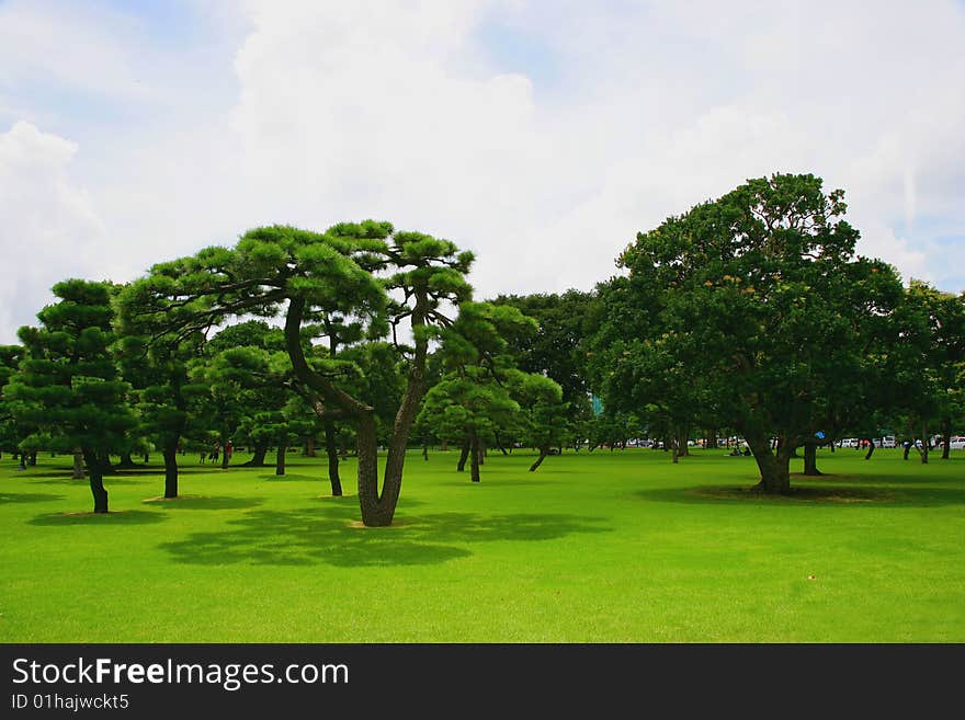 Japan s Imperial Palace lawn outside the Court