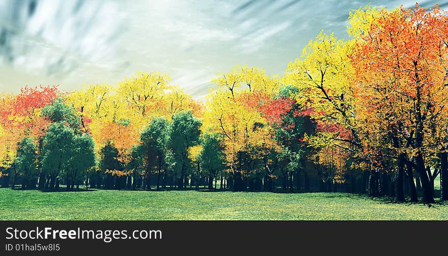 Wonderful scenery with colorful autumn trees. Wonderful scenery with colorful autumn trees