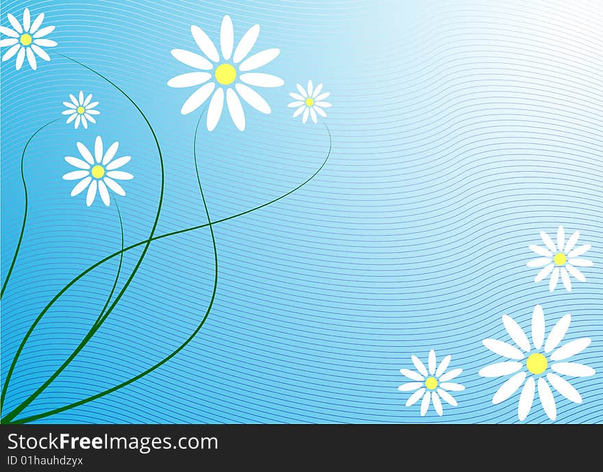 White flowers on blue background. White flowers on blue background