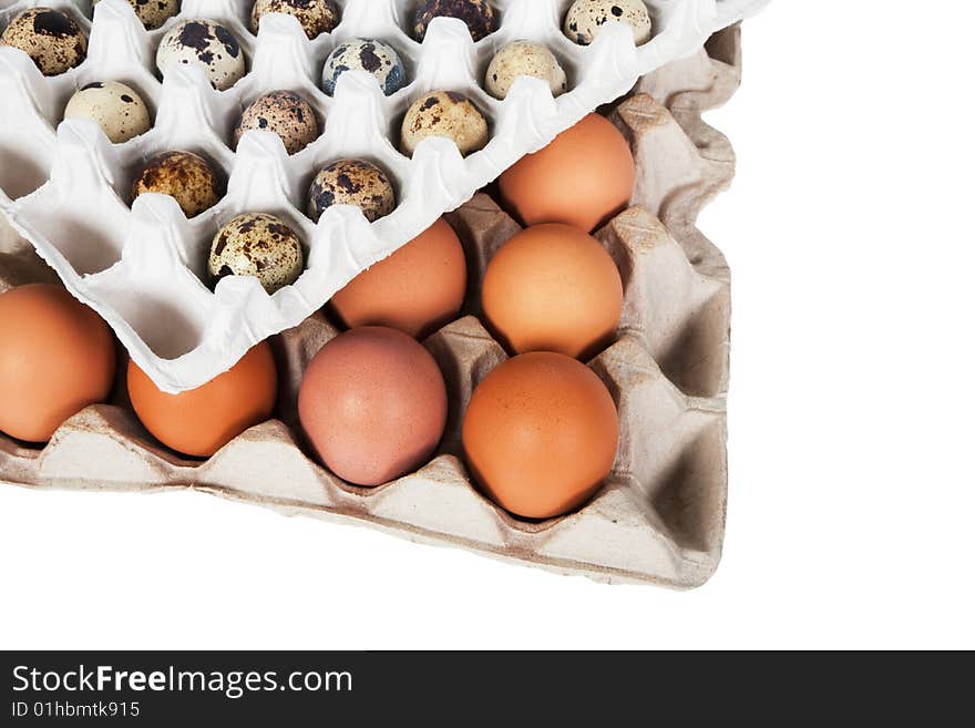 Eggs in the package on a white background