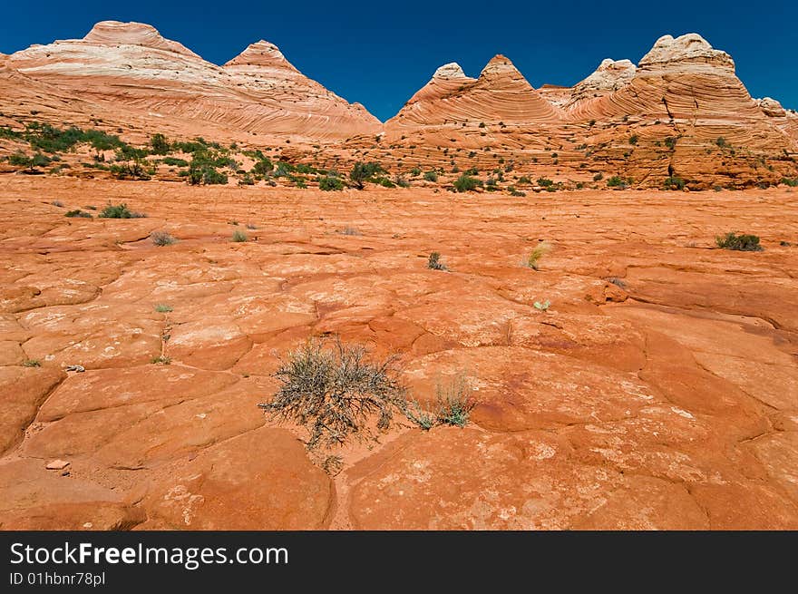 Coyote Buttes