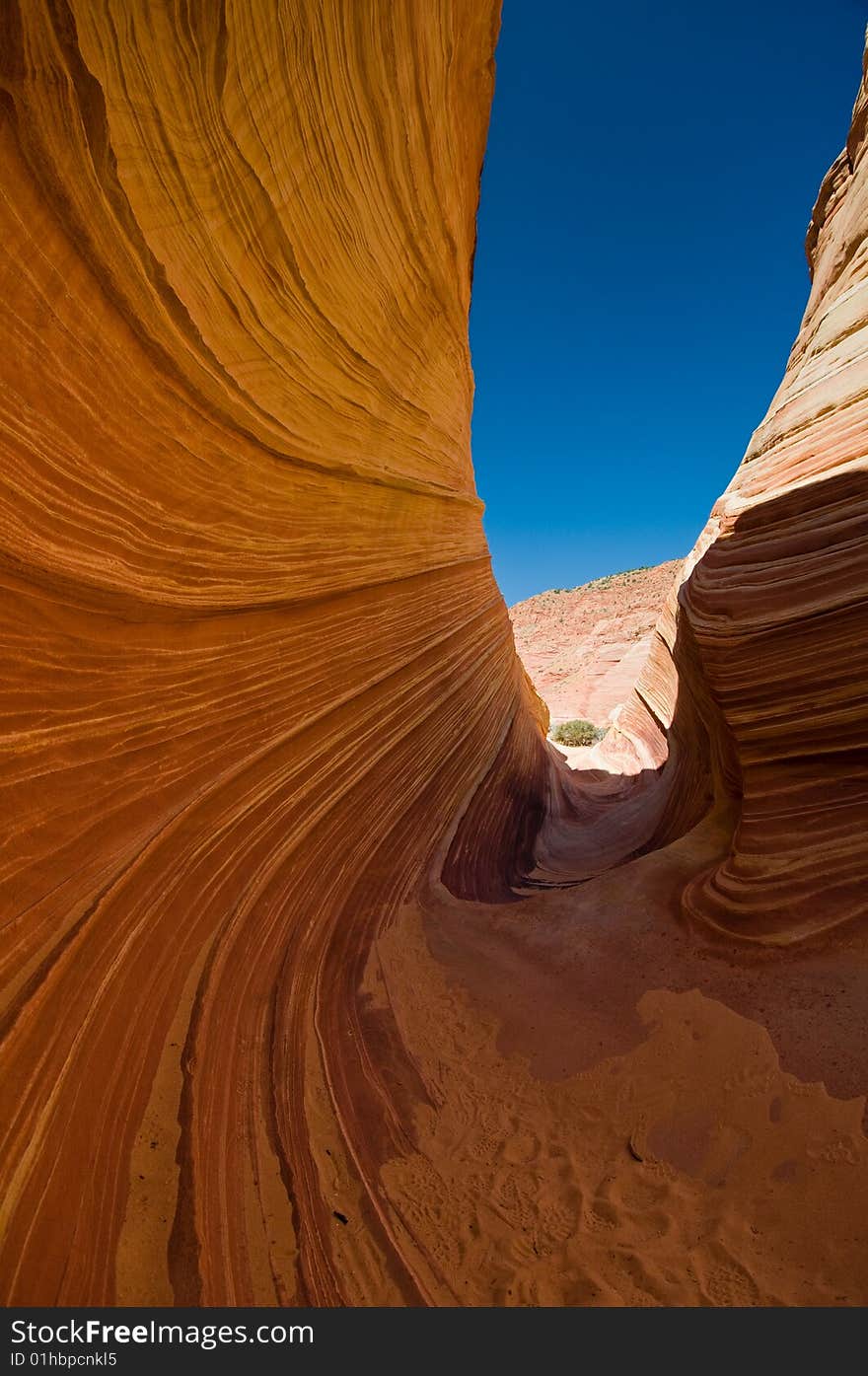 The Wave of Coyote Buttes in the Vermillion Cliffs Wilderness Area, Utah and Arizona