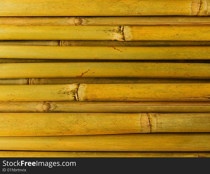 Bamboo Stalks