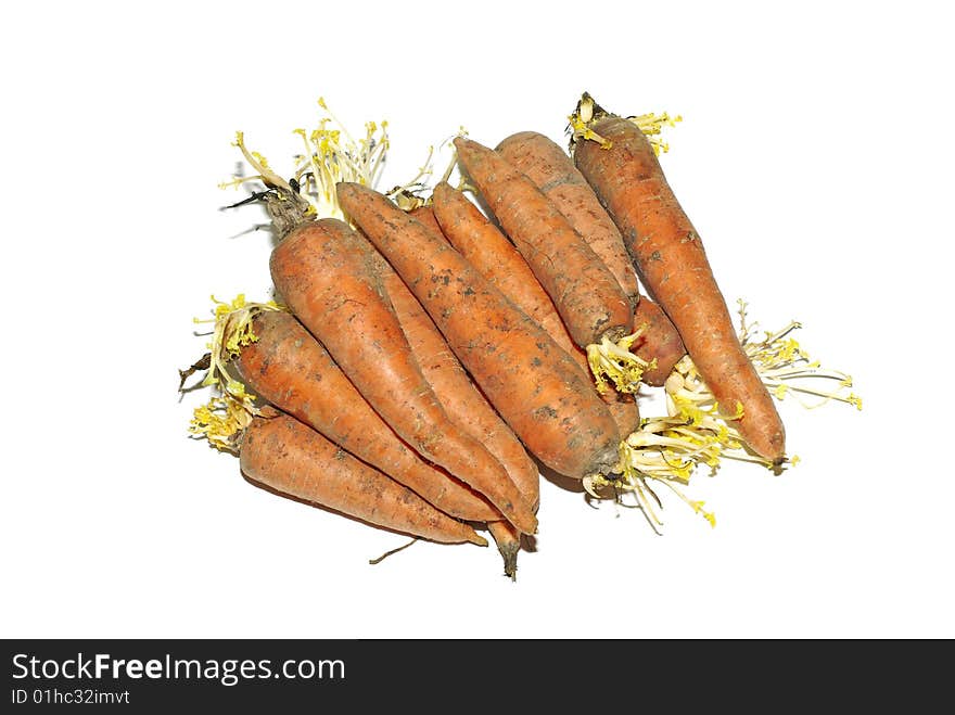 Stack of carrot isolated.