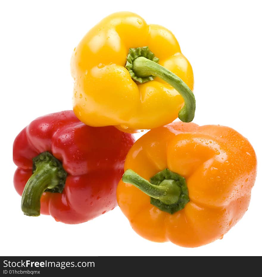 Close-up color paprika with water drops on white