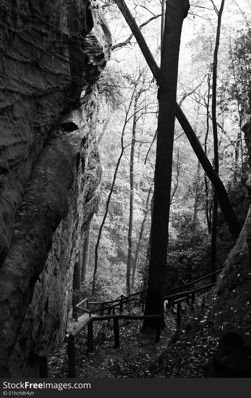 A trail weaver down through a canyon and into a forest in this black and white image. A trail weaver down through a canyon and into a forest in this black and white image