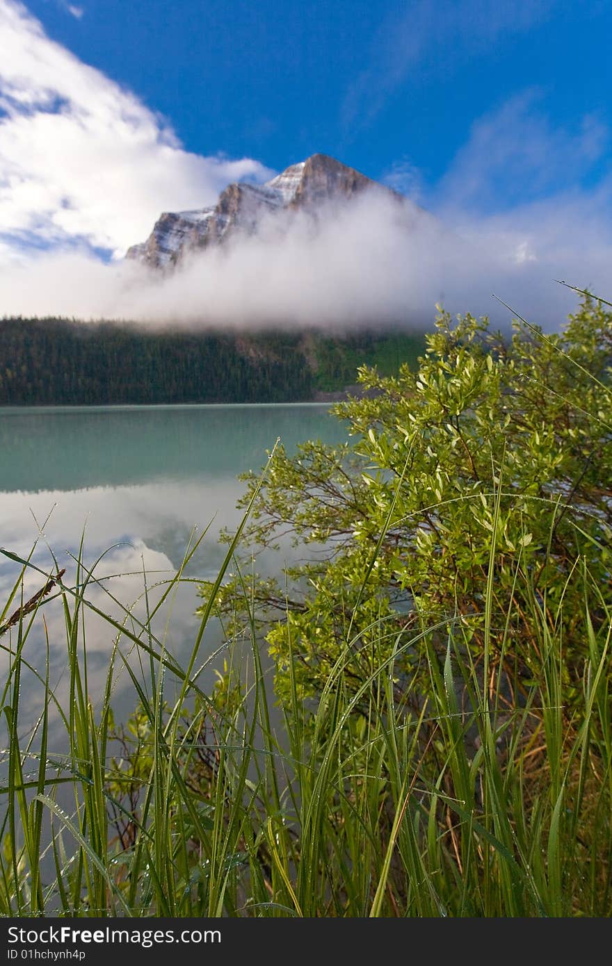 Lake Louise in morning light with foreground grass against the distant mountain