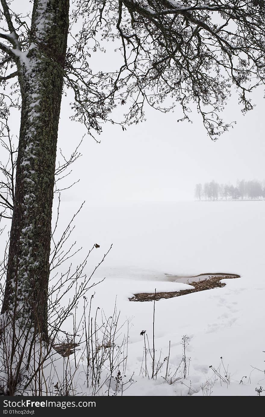 Misty landscape