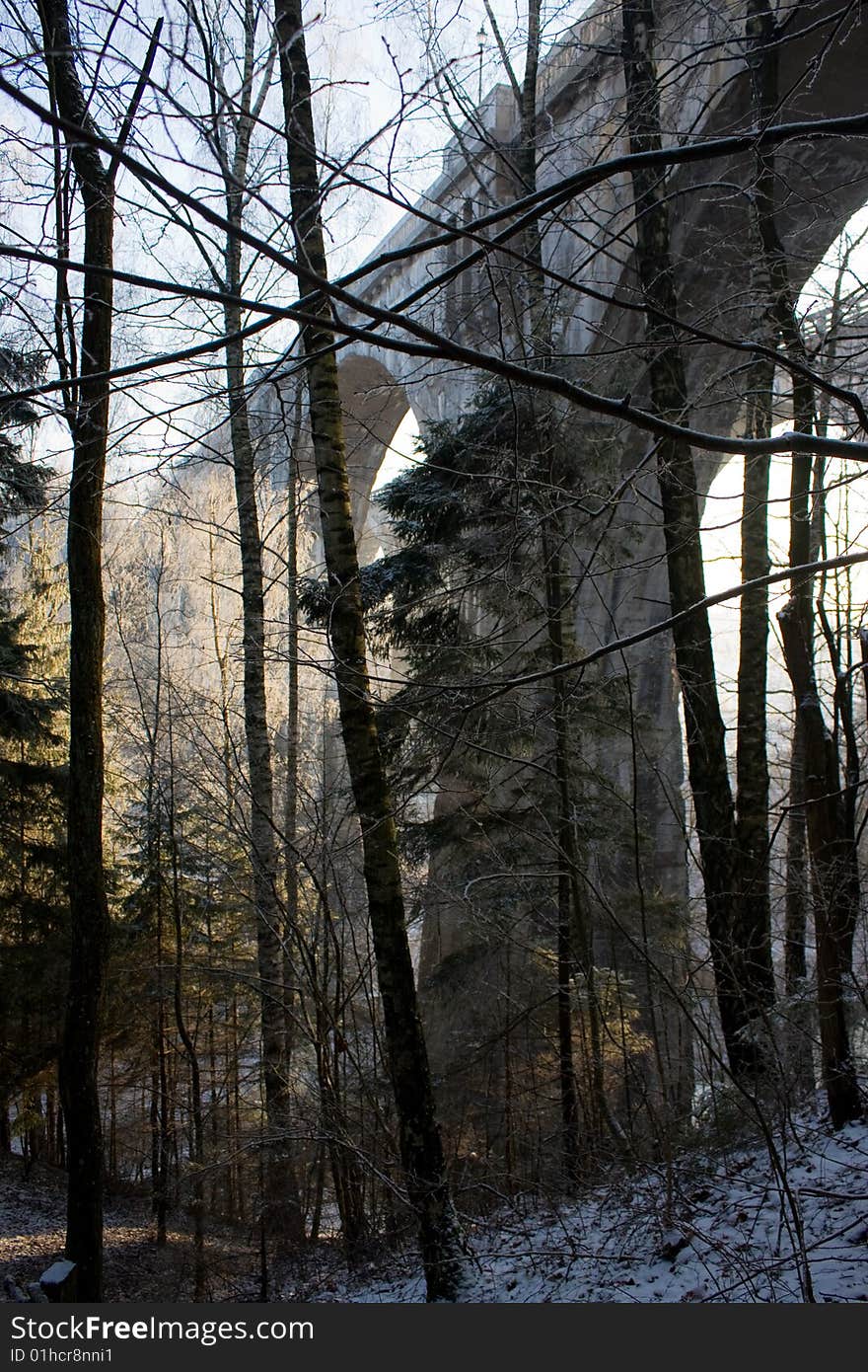 Bridges In Forest In Poland