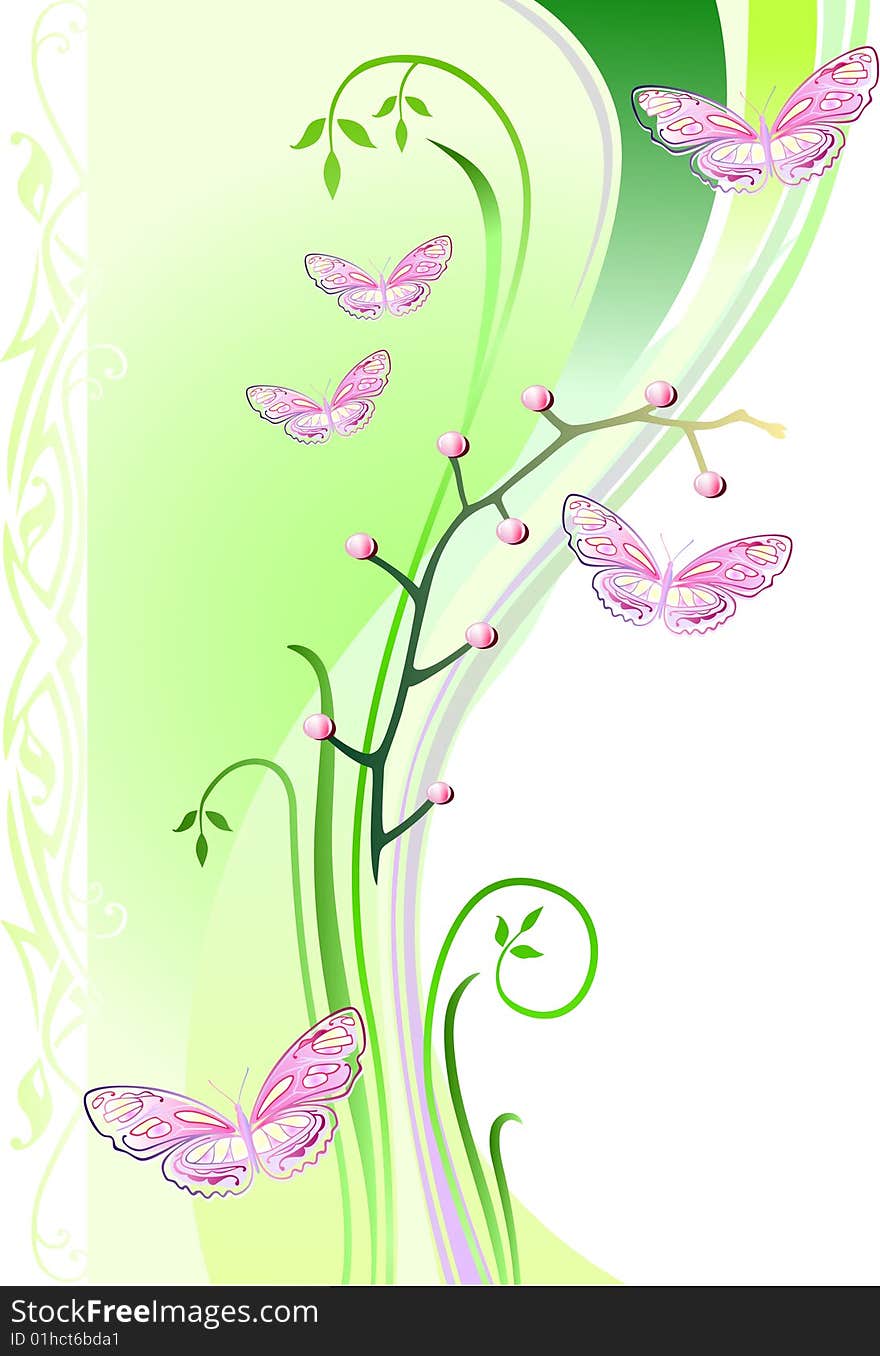 Vector illustration of light-green background with butterflies. Vector illustration of light-green background with butterflies