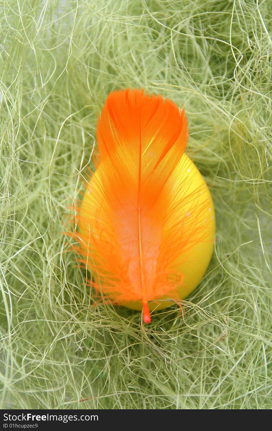 Egg and feather