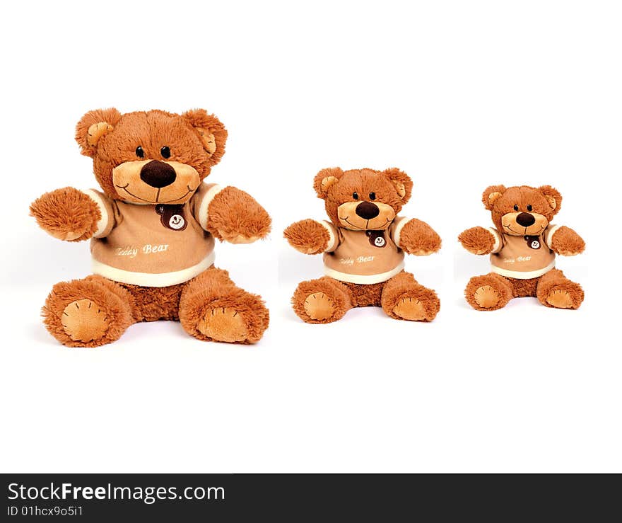 3 similar teddy bear isolated on white background