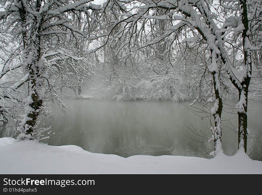 The Strong snow.The Tree and bulrushes in snow on river. The Strong snow.The Tree and bulrushes in snow on river.