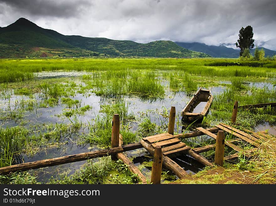 Wetly was full of water grass and water