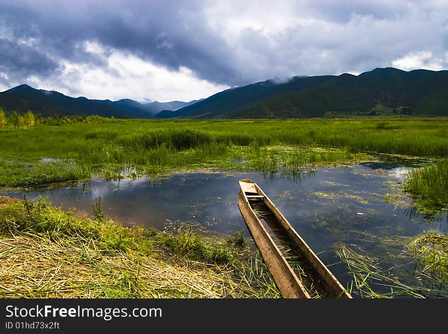 Wetly was full of water grass and water