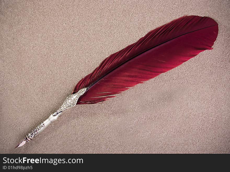 An image of a peacock feather on sand. An image of a peacock feather on sand