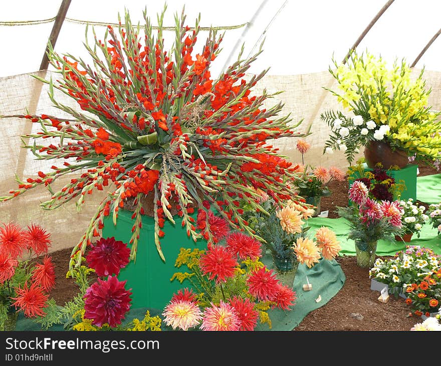 Flower-arrange in floricultural exhibicion. Flower-arrange in floricultural exhibicion