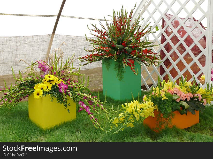 Flower-arrange in floricultural exhibicion. Flower-arrange in floricultural exhibicion