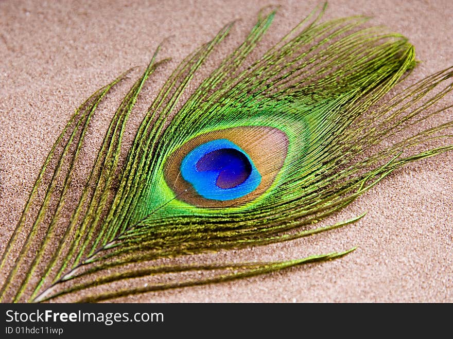 An image of a peacock feather on sand. An image of a peacock feather on sand